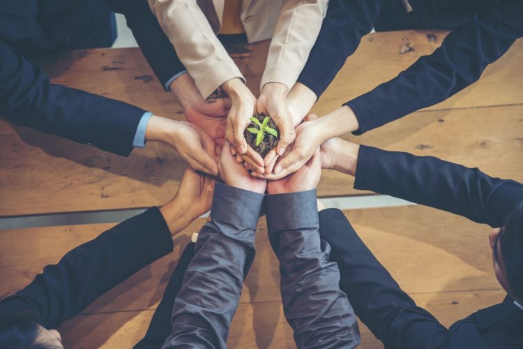Organisationsentwicklung