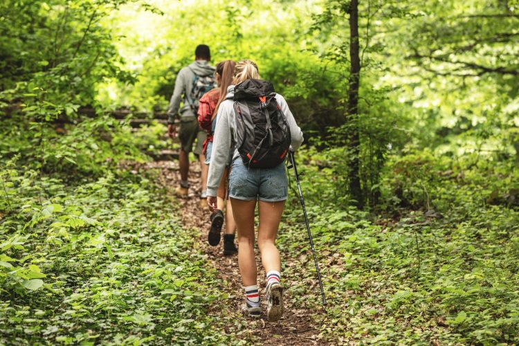 Urlaubsanspruch auf Brückentage