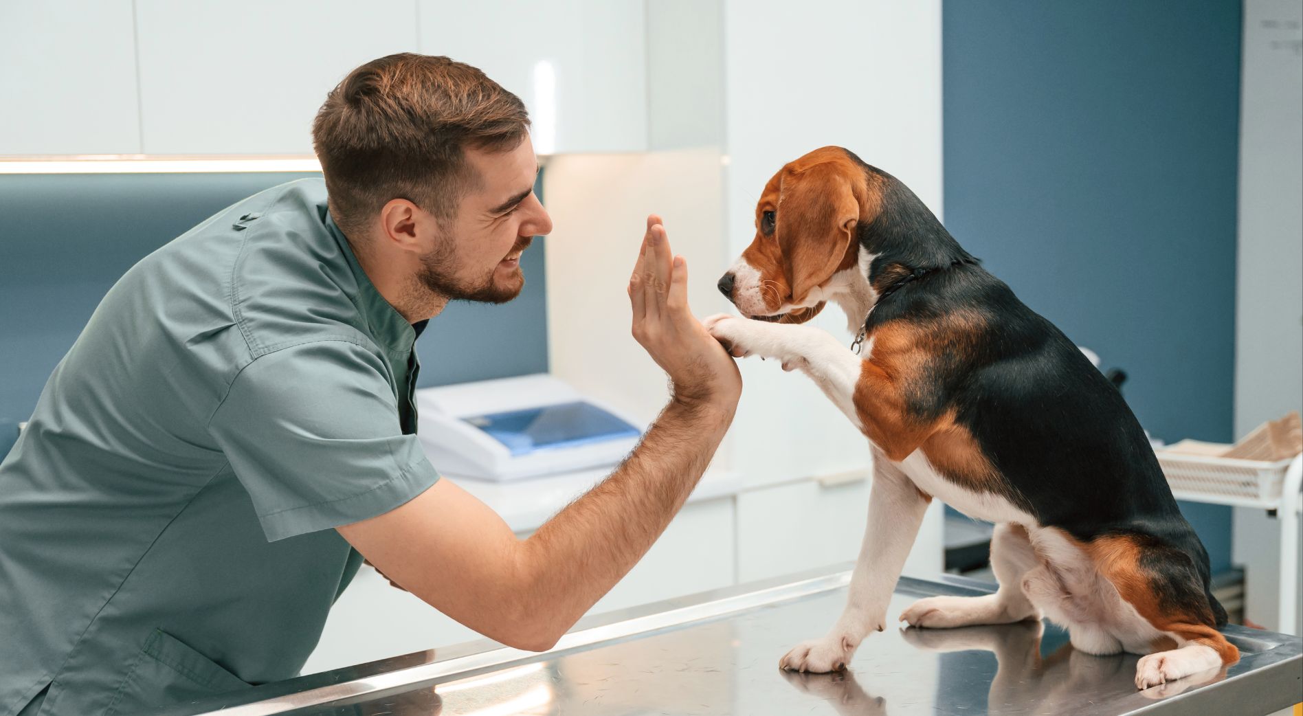 Time tracking in the veterinary practice: Most Important information